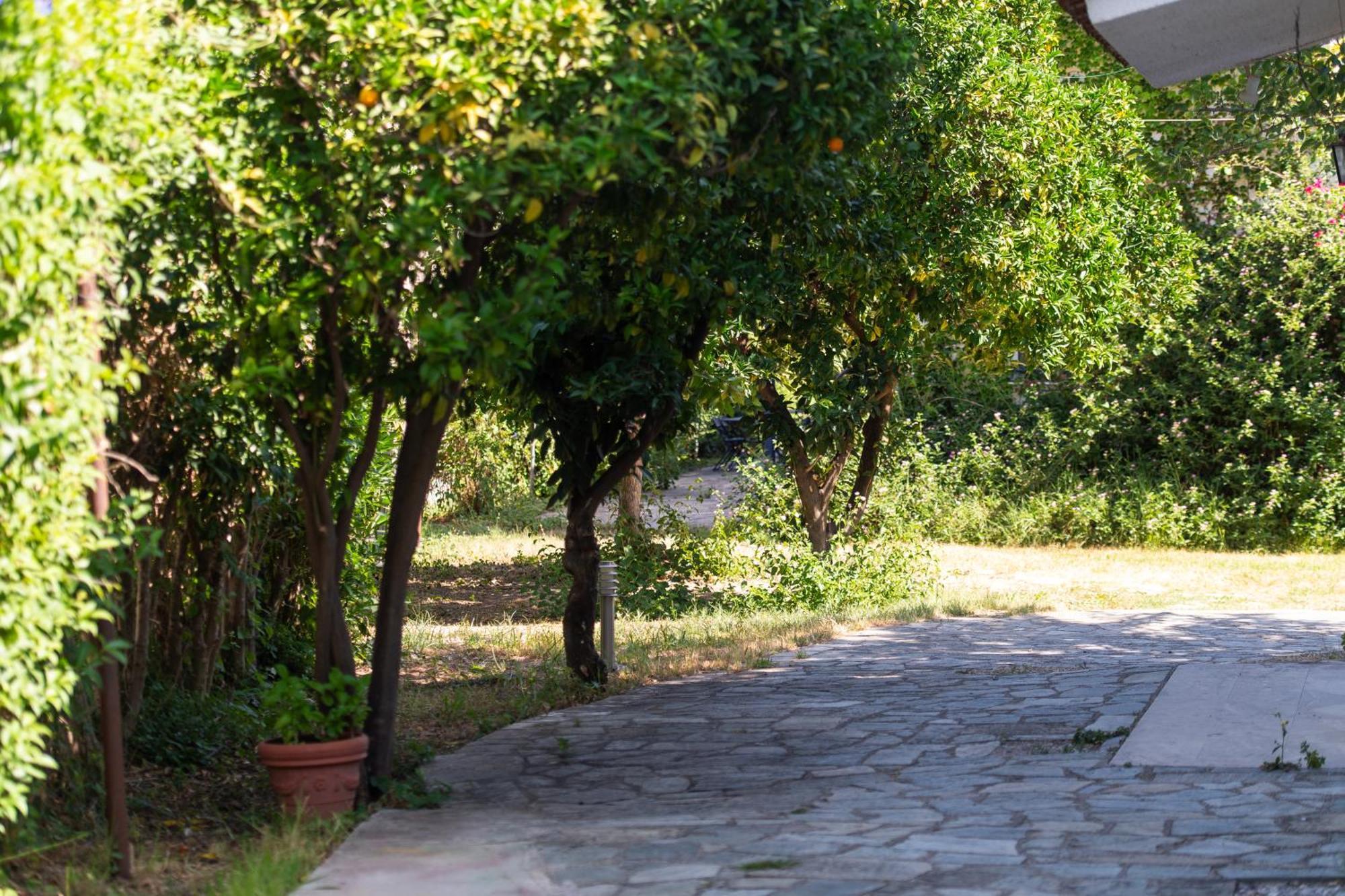 Amarylis Apartments Elaionas  Rom bilde
